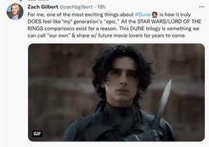 The Faux-Culture of Internet Fandoms