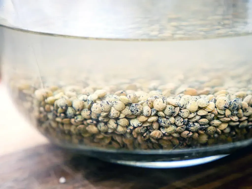 "Soaking Lentils"