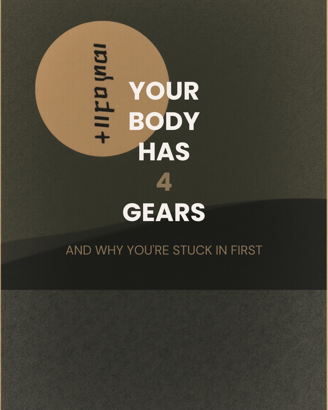 Your Body Has 4 Gears (And Why You're Stuck in First)