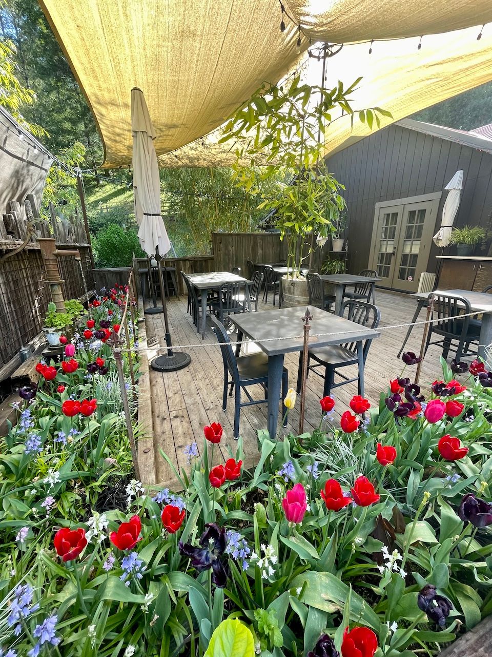 bewildered pig patio philo