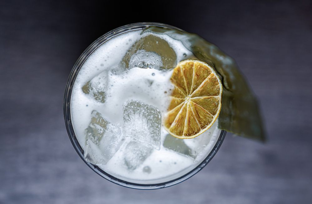 gimlet cocktail dragon horse