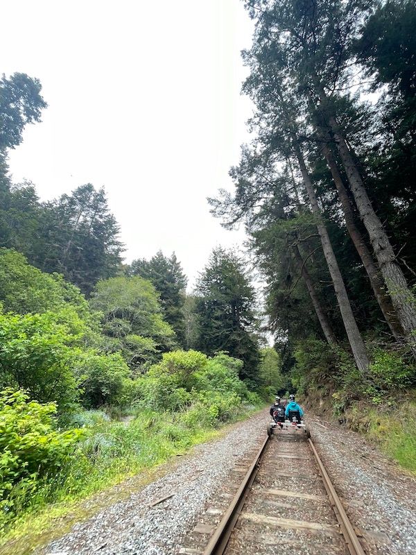 railbike through the forest