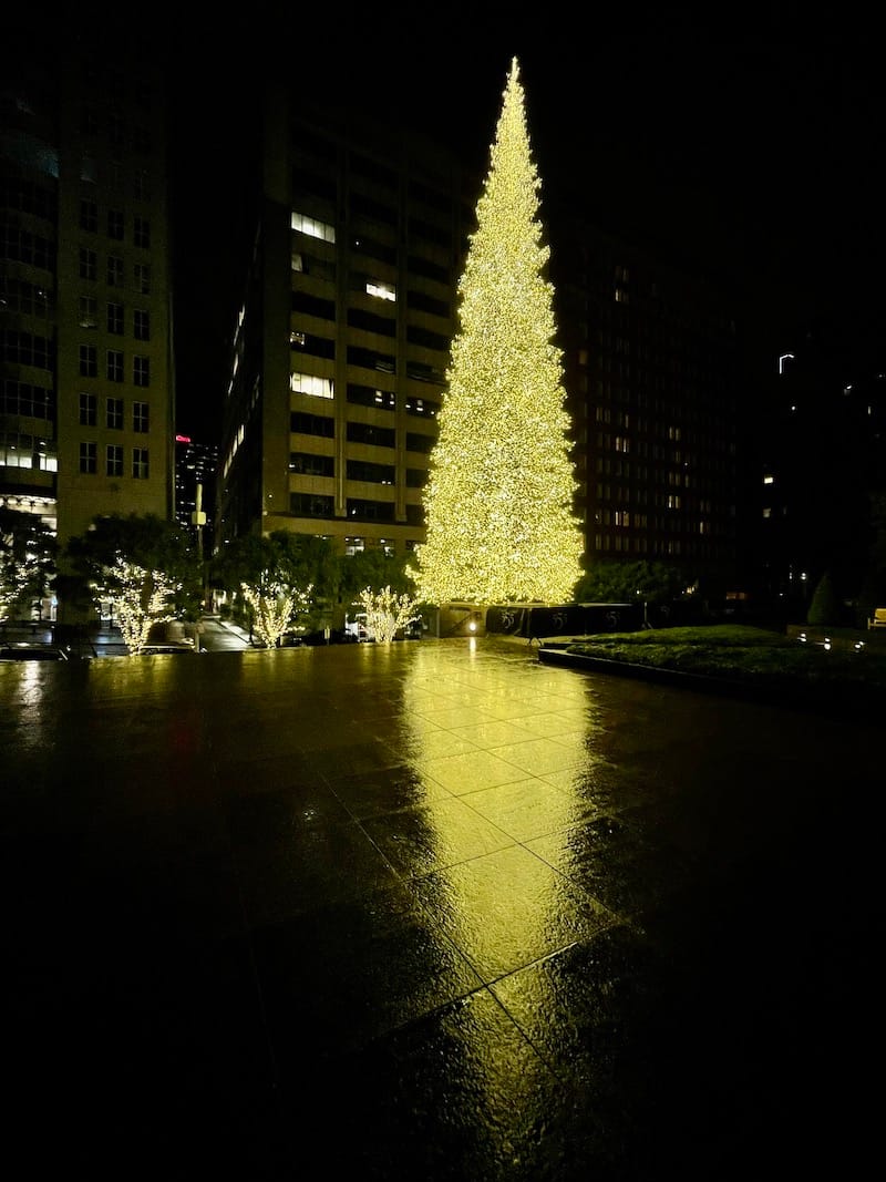the glowing 555 California tree after the rain