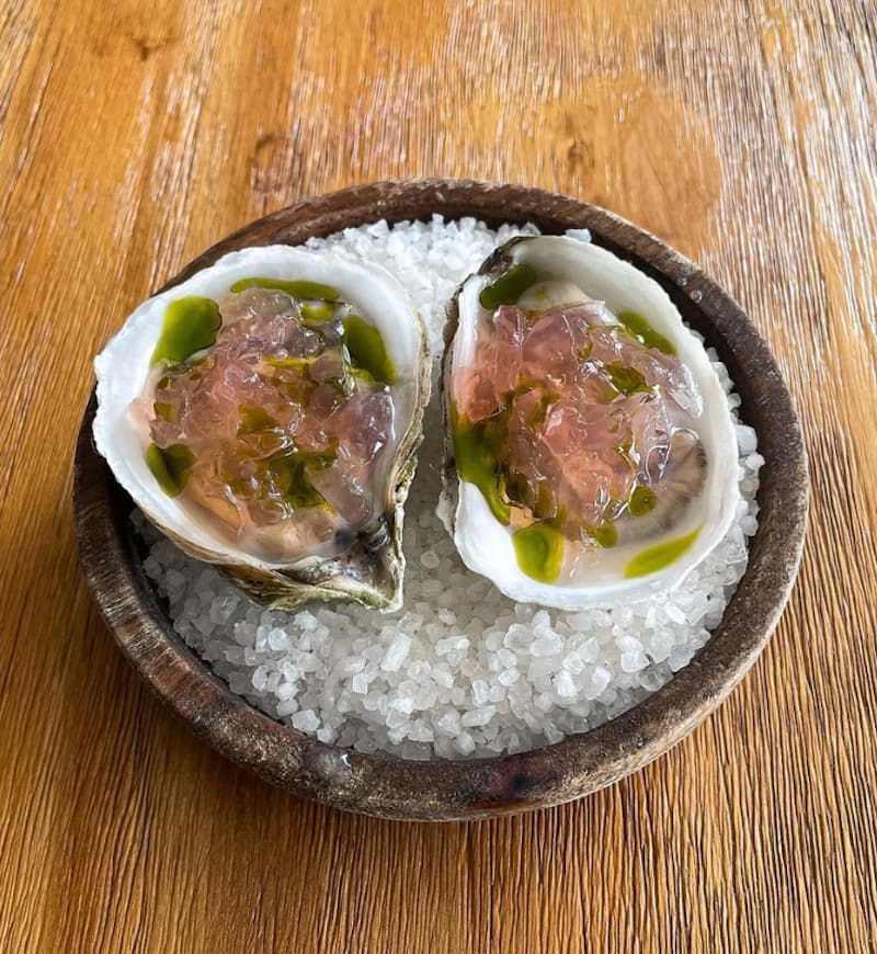 oysters on the half shell with gelee at Ciccino