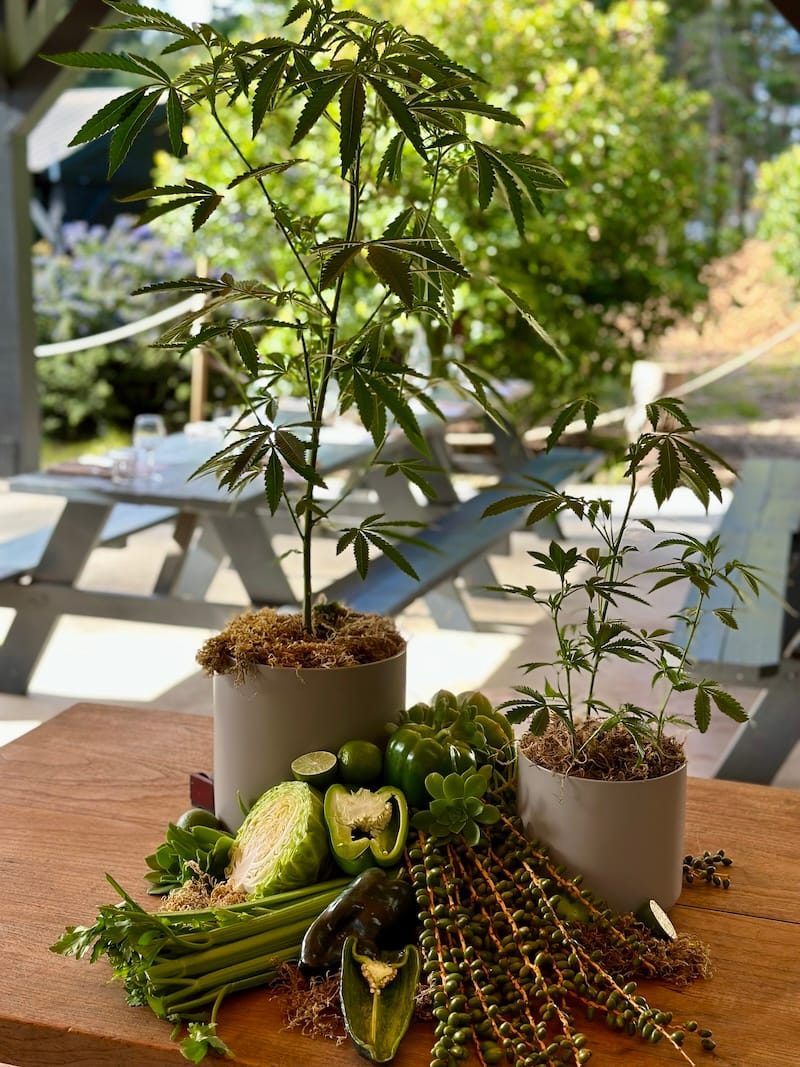 A table setting at the Cannescape dinner. Green vibes only! Photo: © tablehopper.com.
