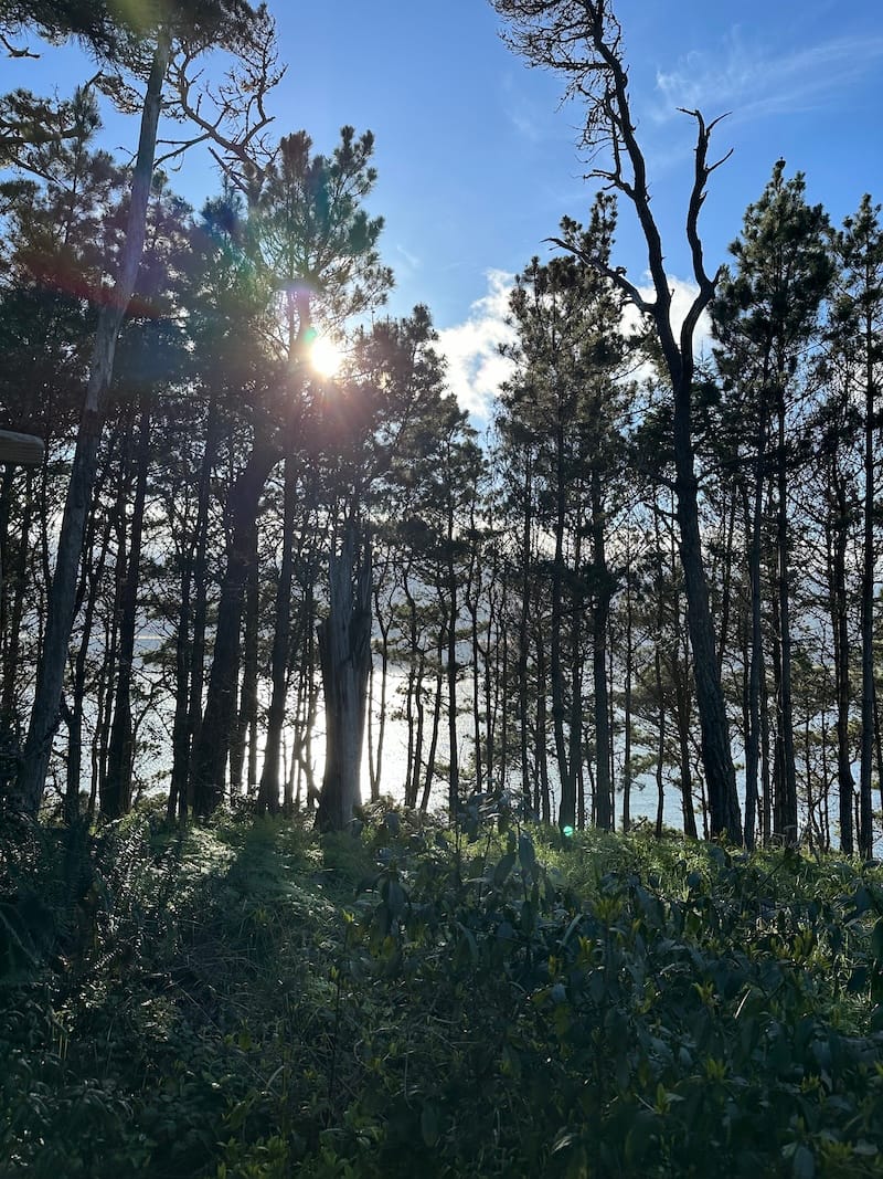 The dreamy view from my Point Arena tent. Photo: © tablehopper.com.