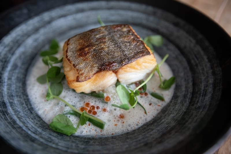 New summer dish: black cod with summer vegetables. Photo: Glodow Nead Communications.