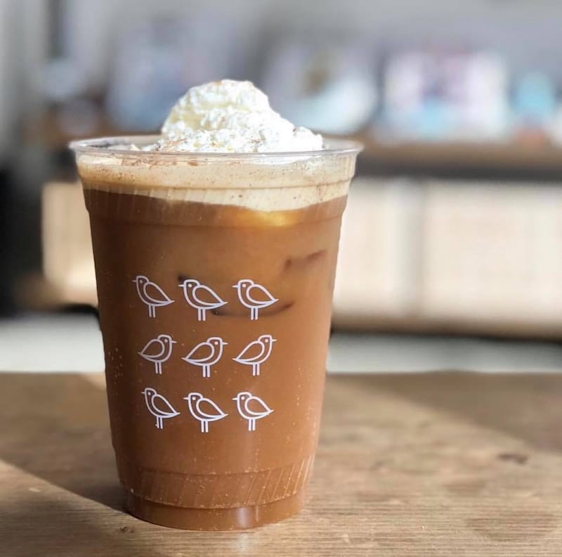 Get ready for a pumpkin spice Snowy Plover in the fall! Photo via Andytown’s Facebook page.