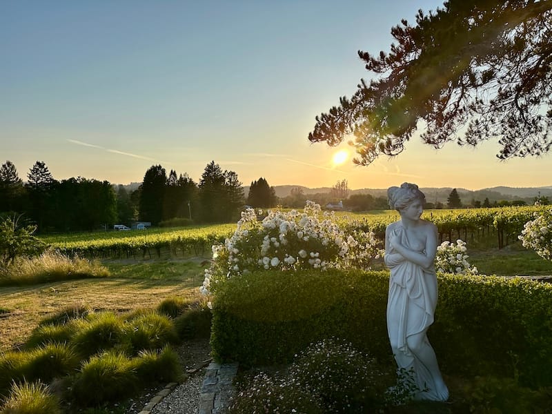The golden hour at The Dalya Estate, overlooking the vineyards. Photo: © tablehopper.com.