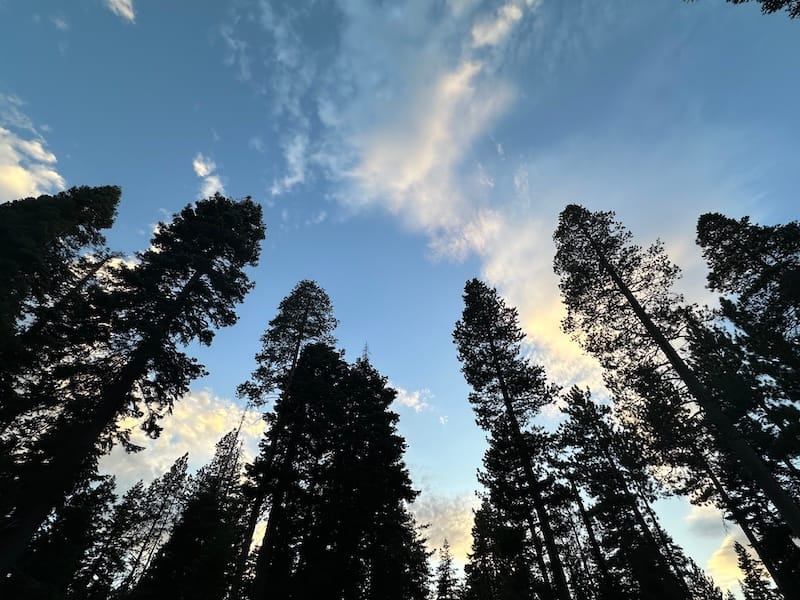 The last time I saw blue skies up here in Tahoe was when I arrived on Friday evening. Photo: © tablehopper.com.