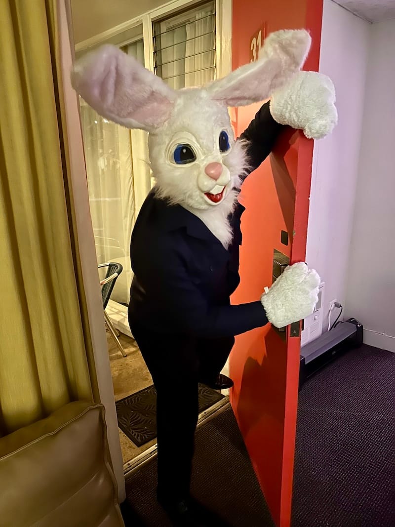 A wascally wabbit came to visit on New Year’s Eve 2023. Photo: © tablehopper.com.