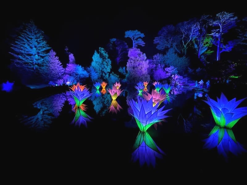 No, it’s not AI! A magical scene from Lightscape in the Botanical Garden in Golden Gate Park. Photo: © tablehopper.com.