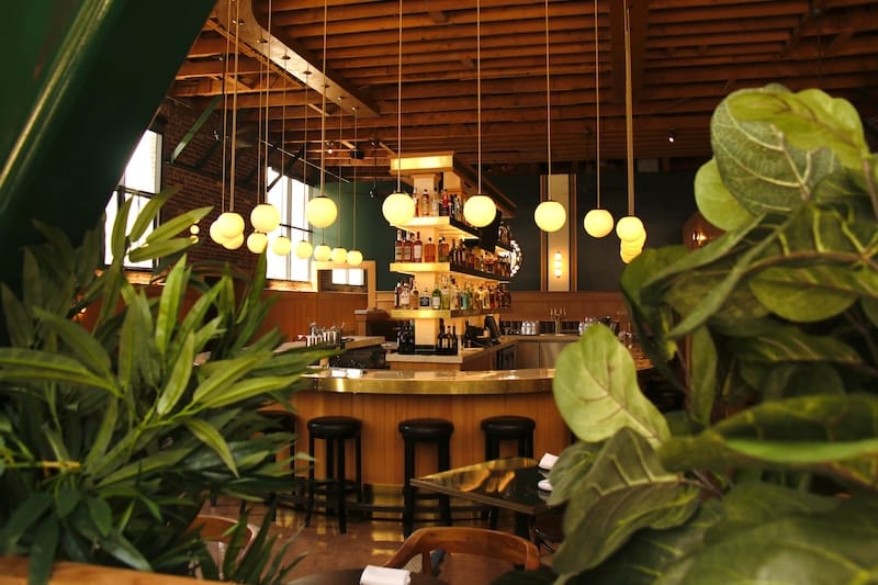 A peek through the plants of the horseshoe bar at the new Bar Malone’s. Photo: Antonio Mellado.