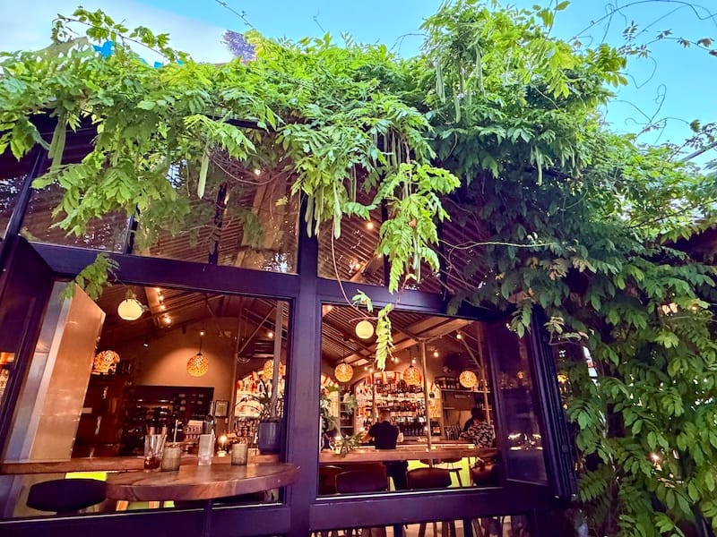 Under the wisteria at Parasol at Cafe Flore. Photo: © tablehopper.com.