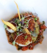 scallop.jpg
