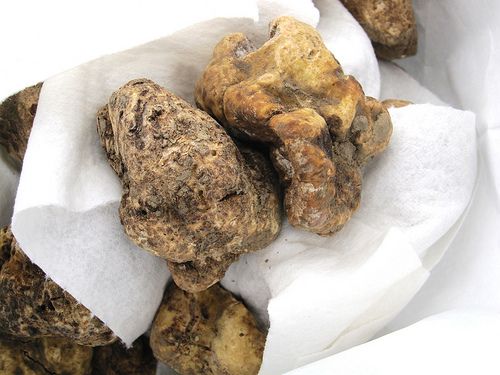 whitetruffle.jpg