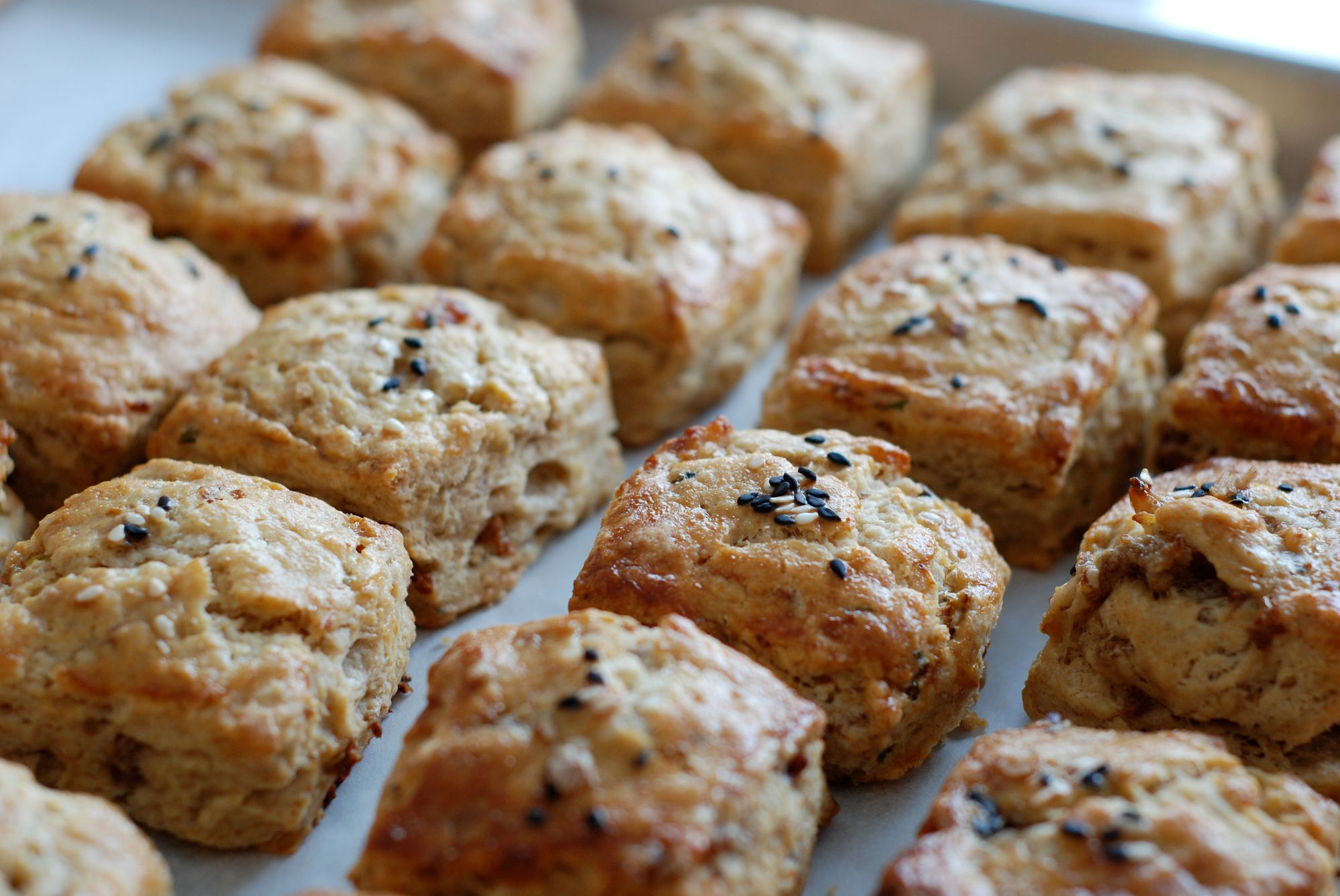 delise-duckscone.JPG