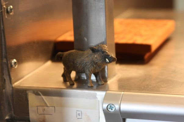 boar-flourandwater.jpg
