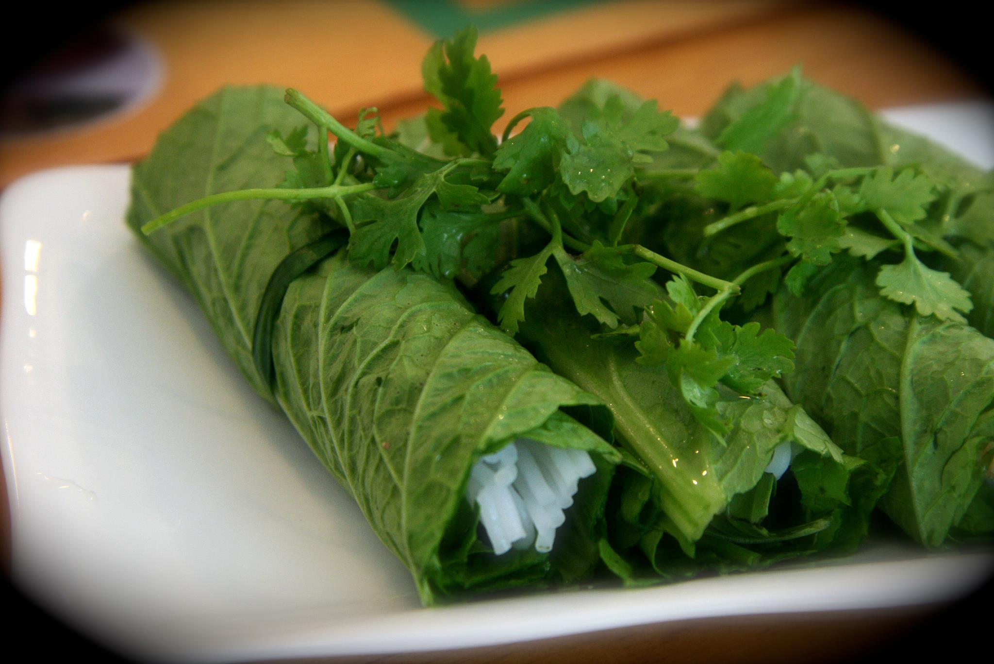 01_DragonEats_Green_Rolls.jpg