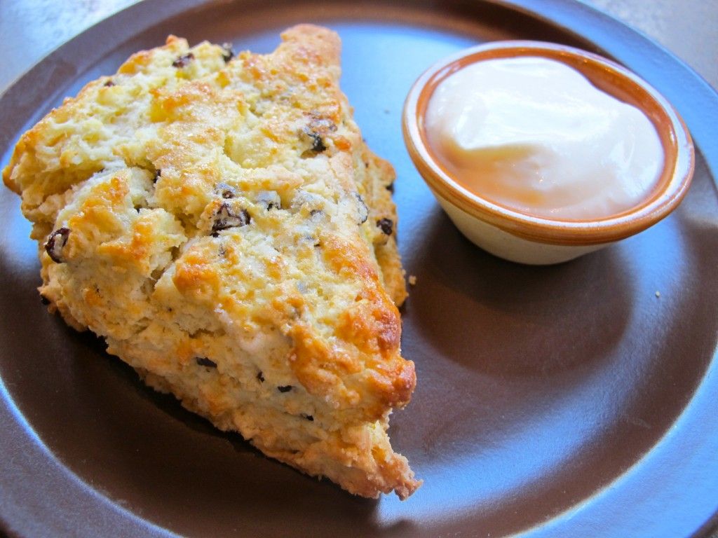 nopa-scone.jpg