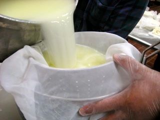 01_cheese_class_milk_maid.jpg