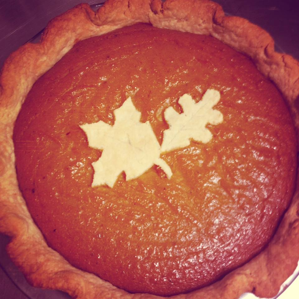 shorty_pumpkin_pie.jpg