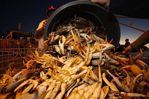 Slow_Crab.png