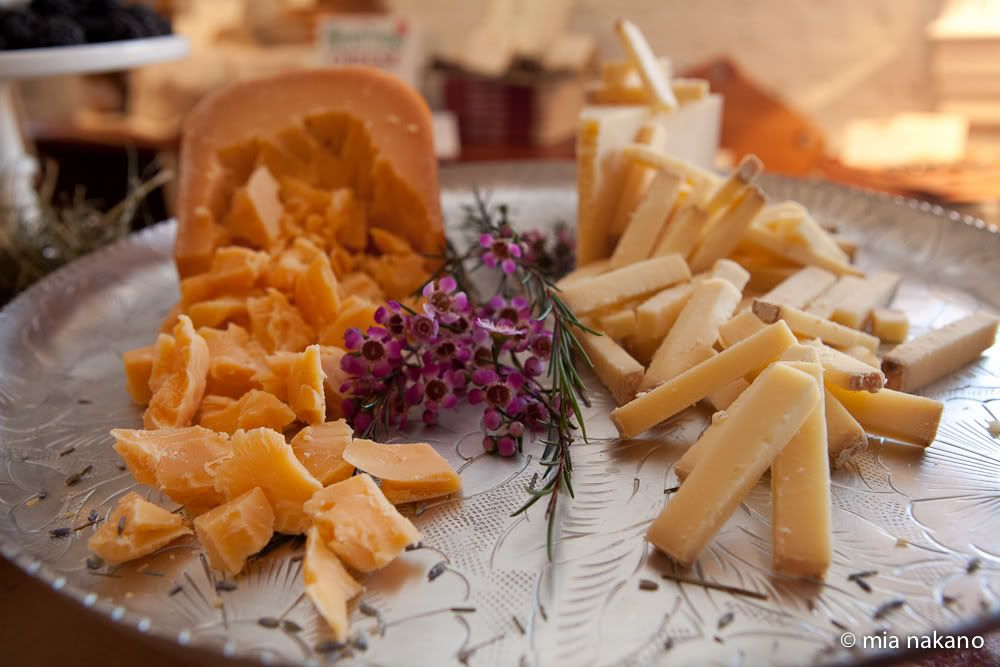 Cheese_School_MNakano.jpg