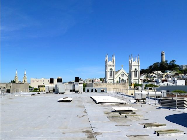 7-chinalive-roof.jpg