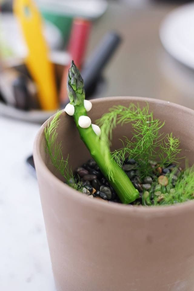 bolete_asparagus_TaraPadilla.JPG