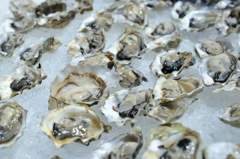 oyster_bash_2013.jpg