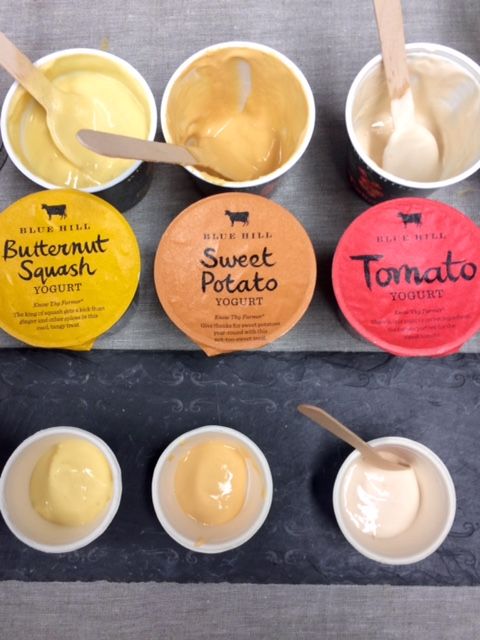 03_FFS_blue_hill_yogurt.jpg