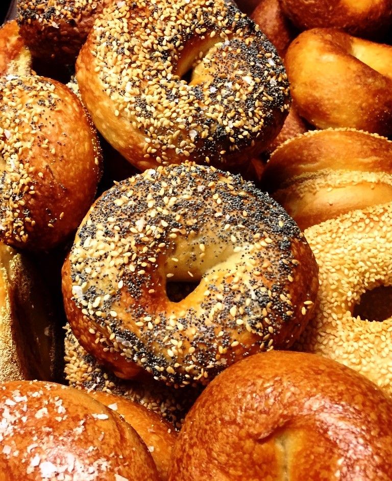 shorty_bagels.jpg