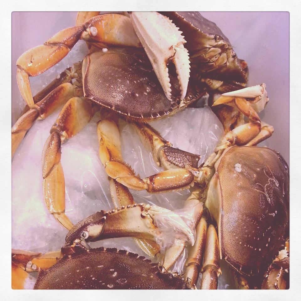dungenesscrabs-fineandrare.jpg