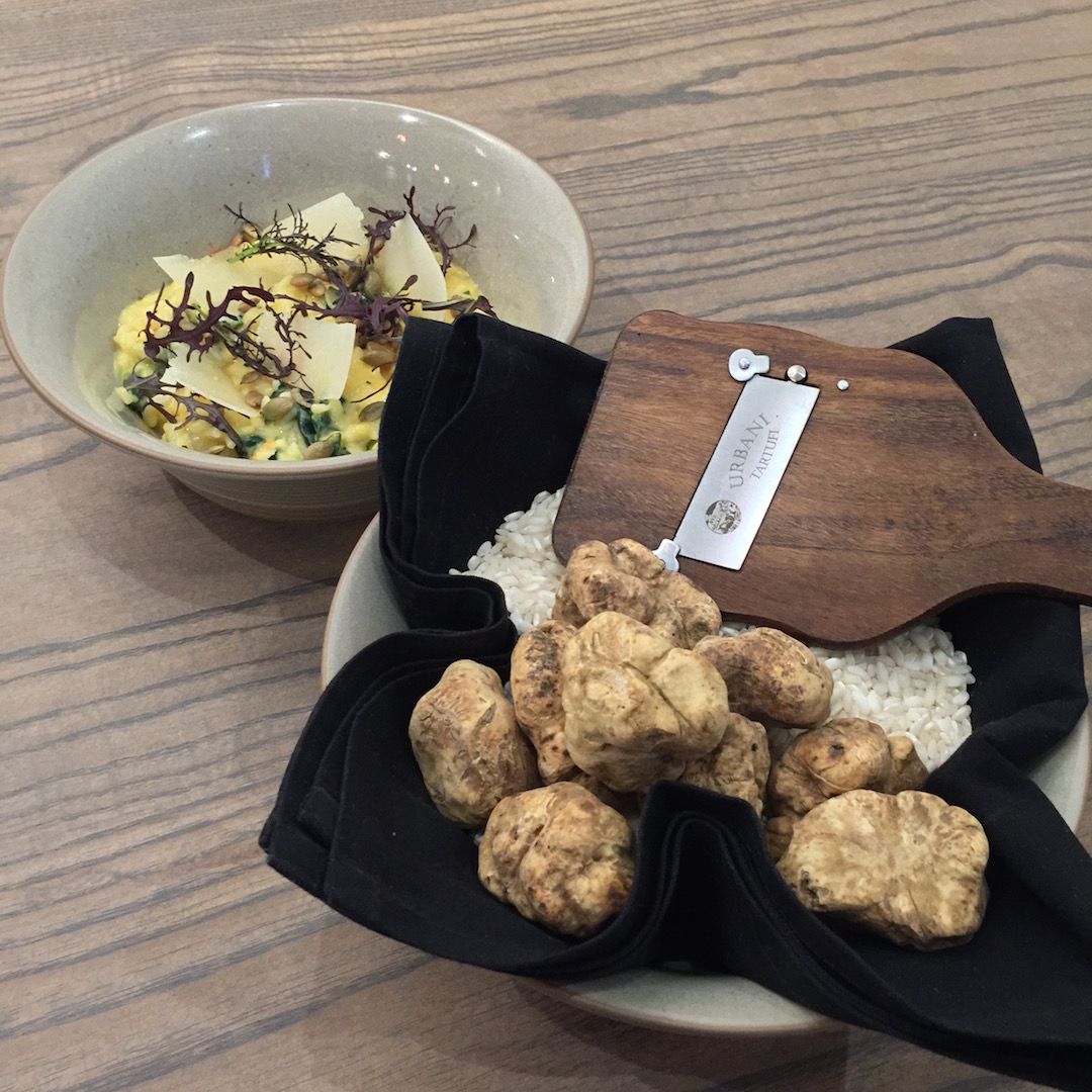 trestle-truffle.jpg