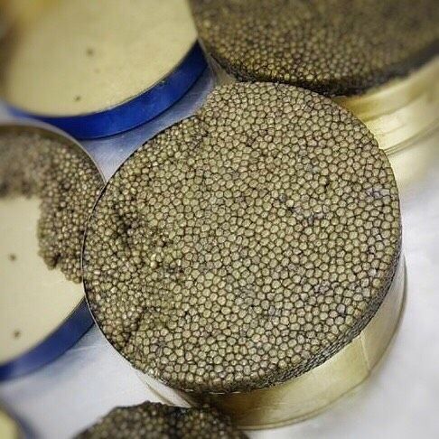 caviarco-goldenosetra.jpg