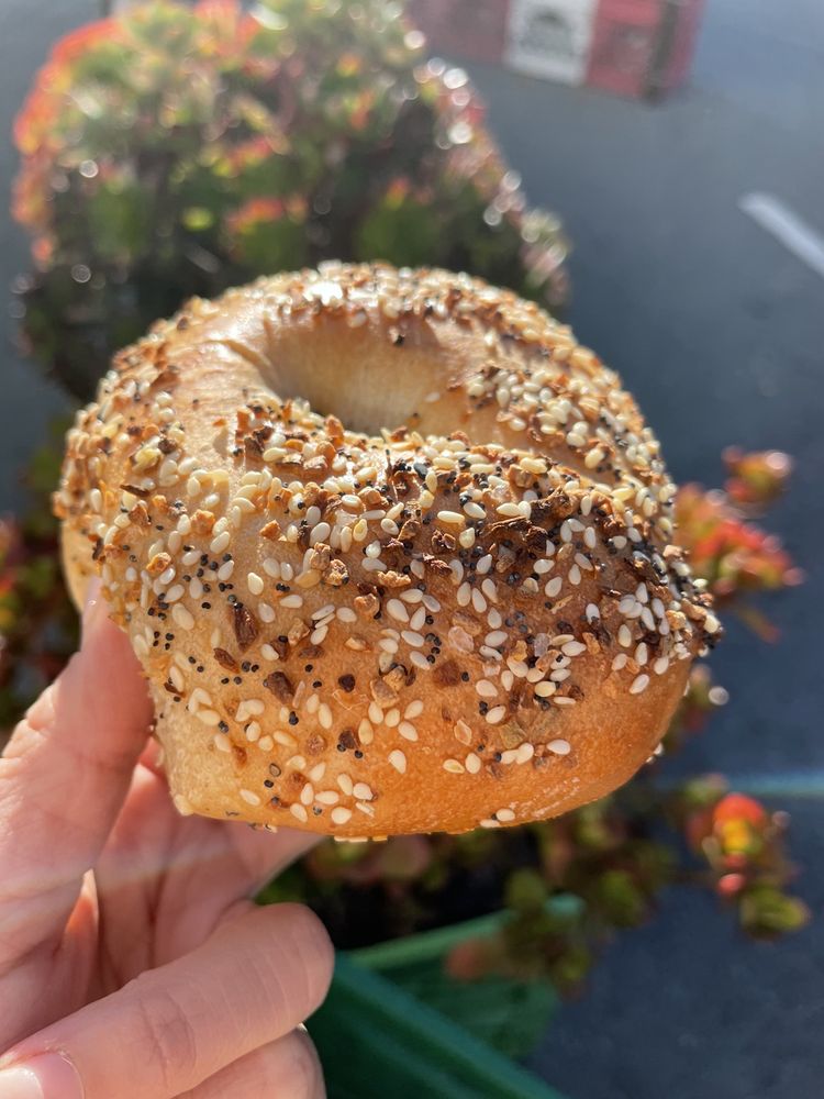 thelaundromat-bagel.jpg