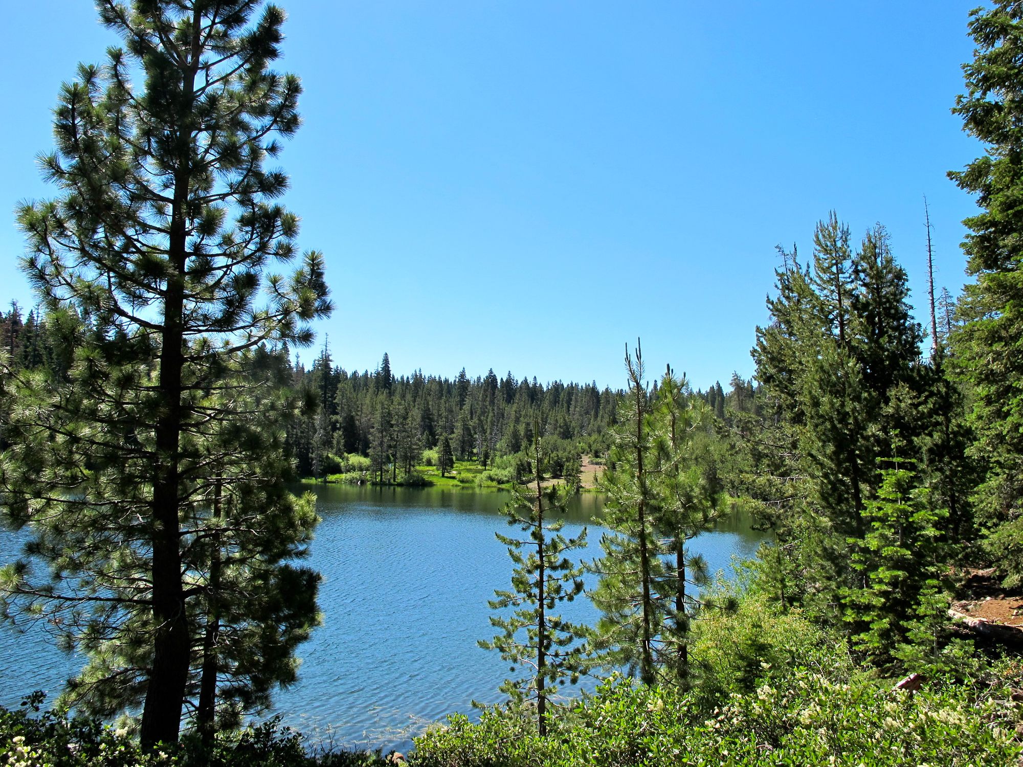 ritz-tahoe-sawmilllake.JPG