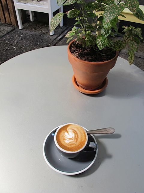 9aa-auckland-coffeefreds.jpeg