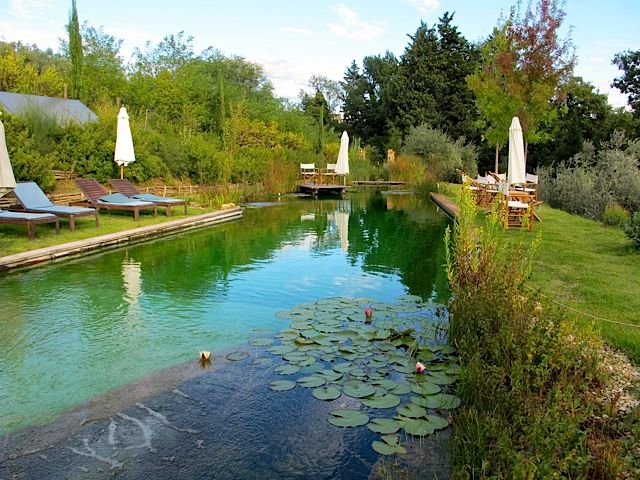 1a-paluffo-pool.jpg