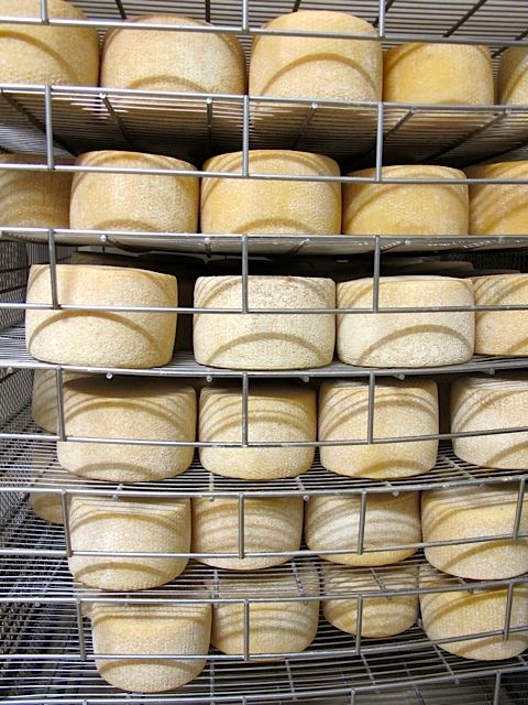1h-chianti-cheese.jpg
