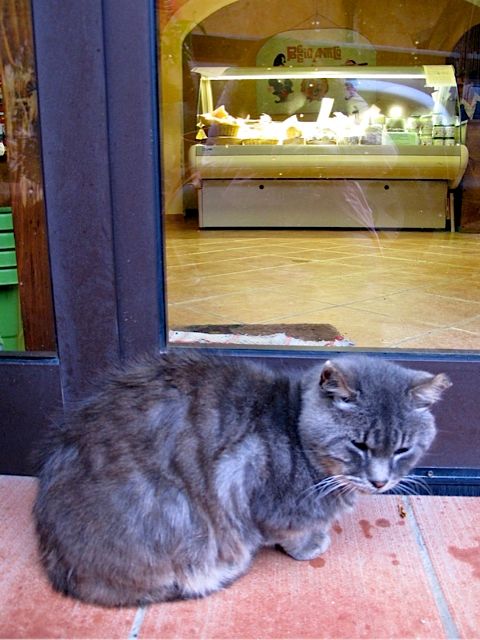 1k-poggio-gatto.jpg
