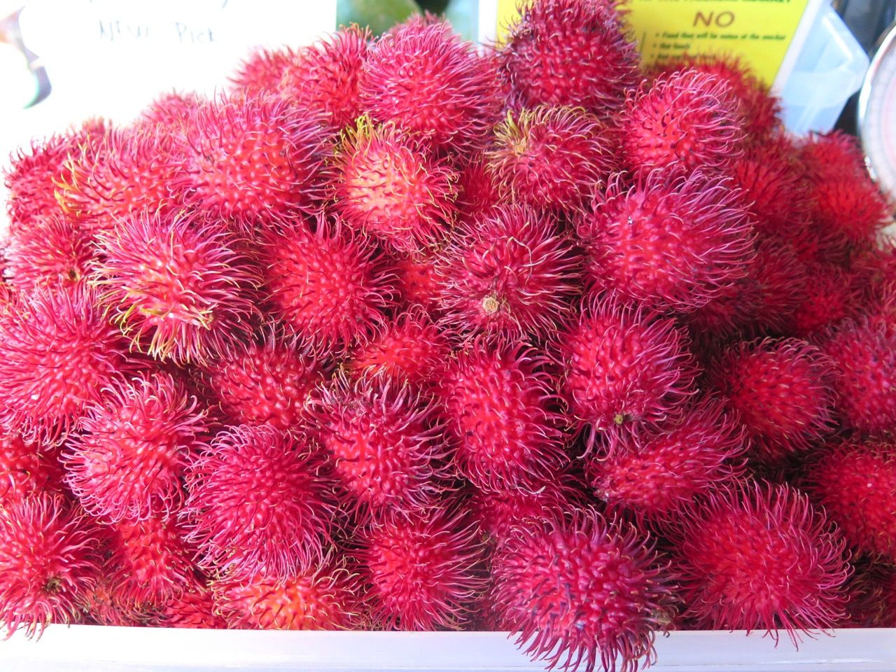 2-hawaii-rambutan.jpeg
