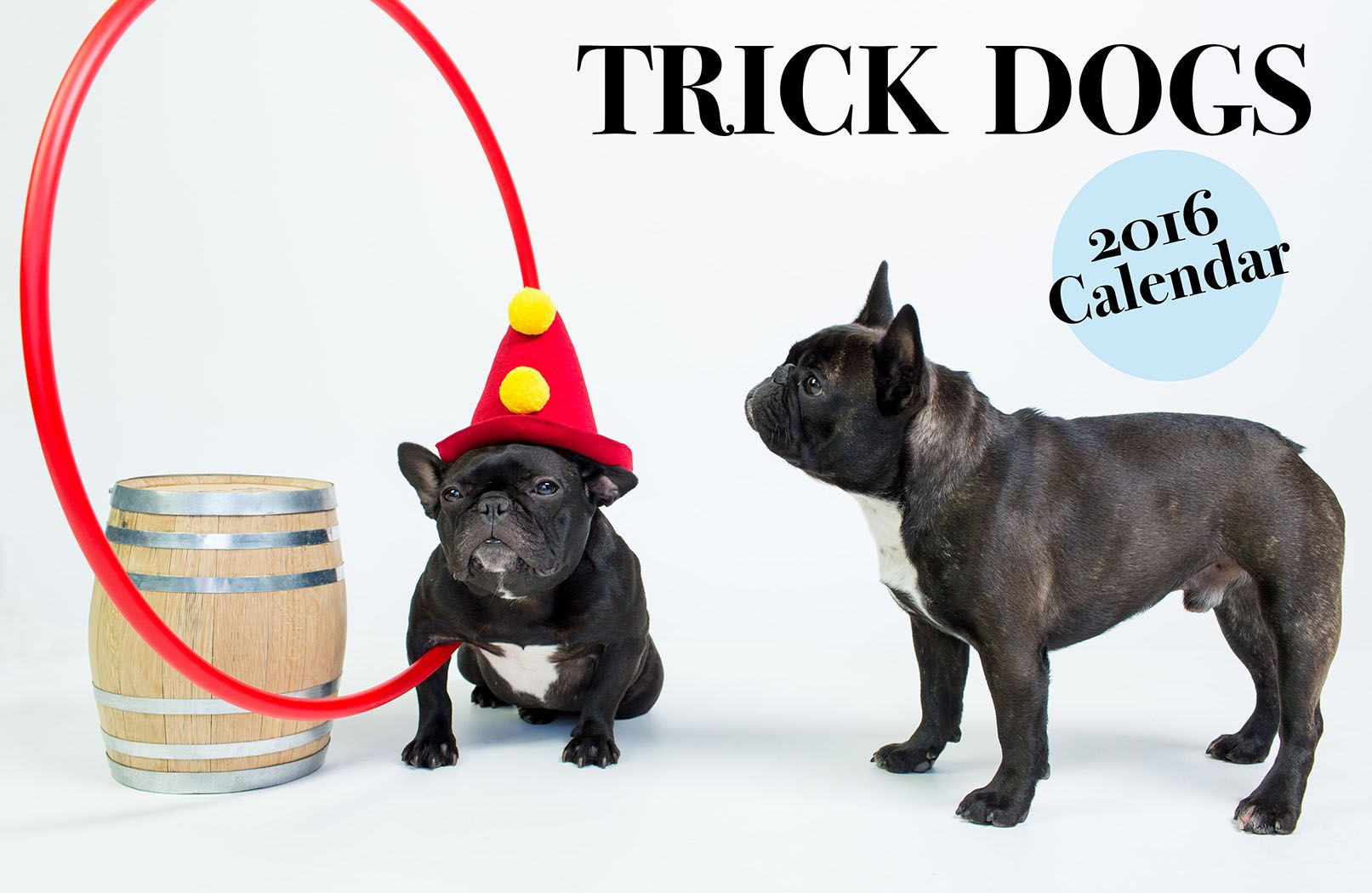 TrickDog-DogCalendarCOVER_sm.jpg