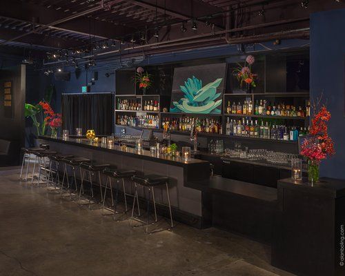 projectone-bar.jpg