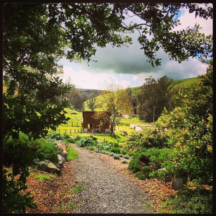 bloomfield_farms.JPG