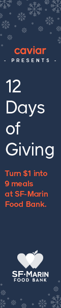12DaysofGiving_120x600_2015.png