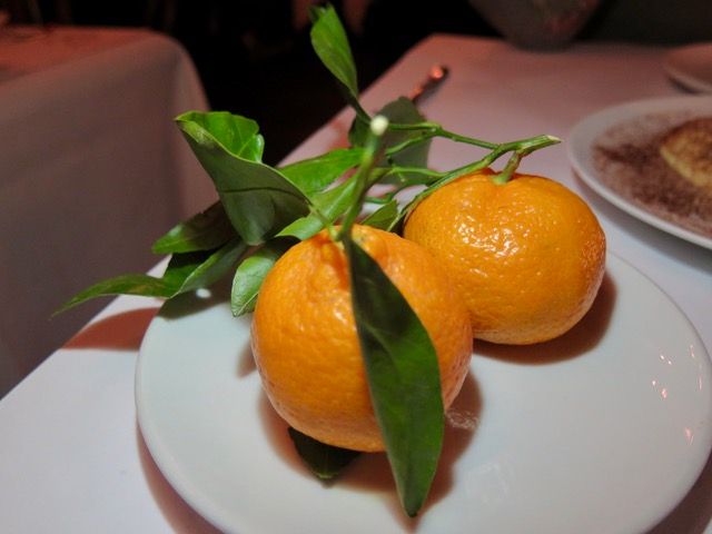 5-minatestkitchen-satsuma.jpeg