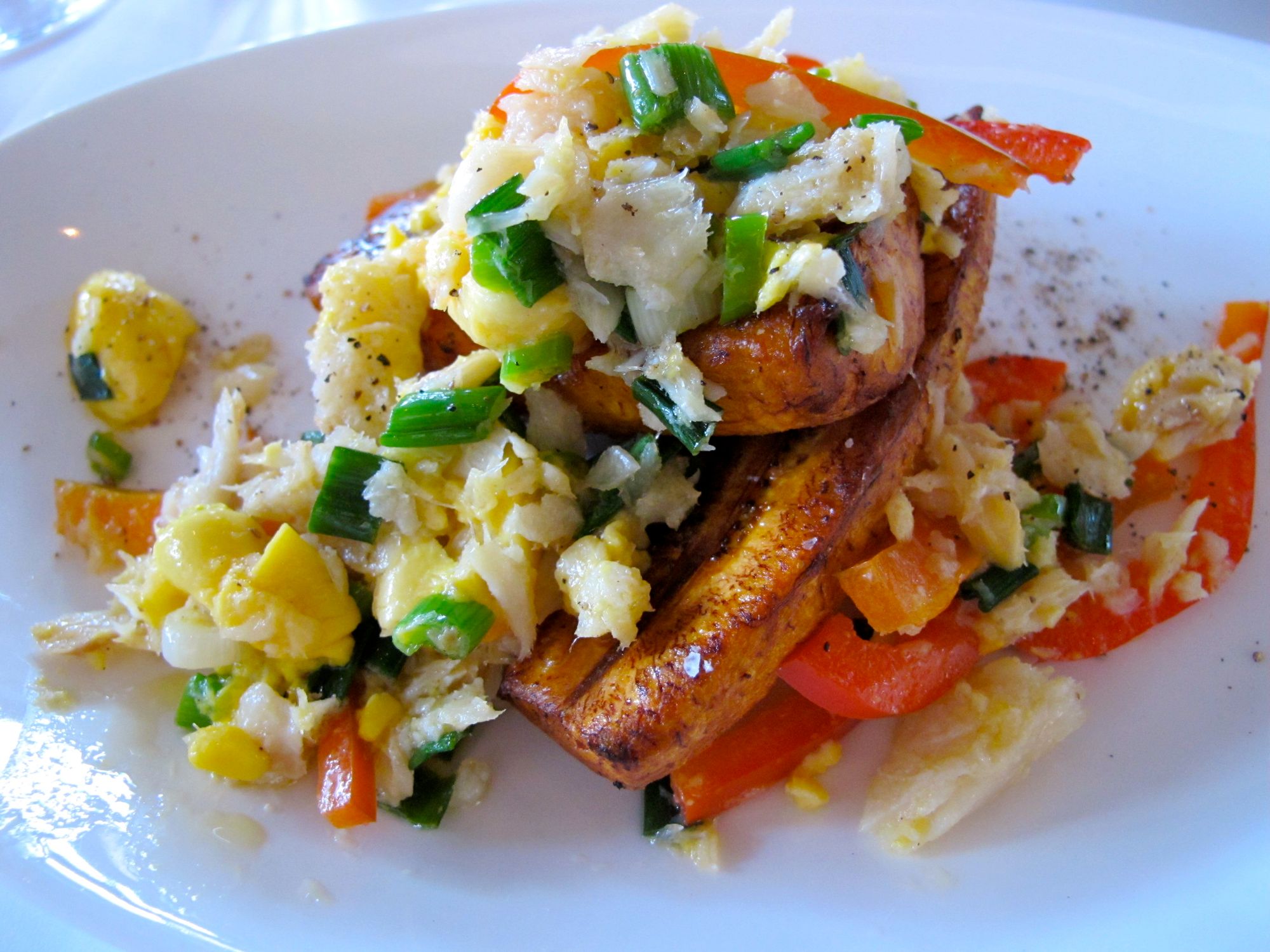 1-hibiscus-saltfish.JPG