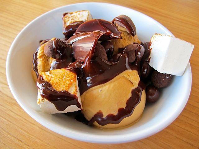 3-chocolatelab-icecreamsundae.jpg